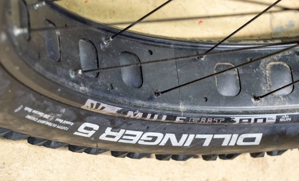 photos of the side of a fat bike tire with no rider on the bike
